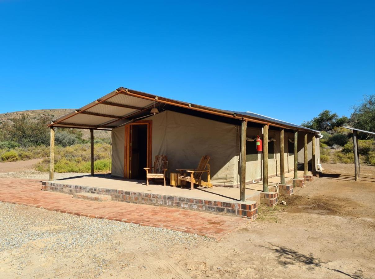 African Game Lodge Montagu Ngoại thất bức ảnh