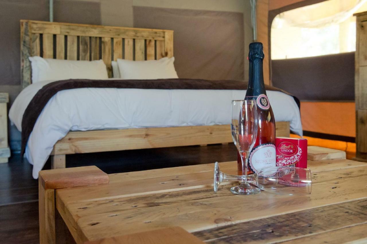 African Game Lodge Montagu Ngoại thất bức ảnh